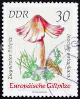 Postage stamp GDR 1974 Inocybe Patouillardii, Mushroom