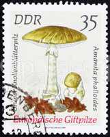 Postage stamp GDR 1974 Amanita Phalloides, Mushroom