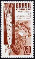 Postage stamp Brazil 1960 Grain, Coffee, Cotton and Cacao