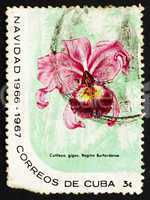 Postage stamp Cuba 1899 Cattleya Warscewiczii Reginae Burfordens