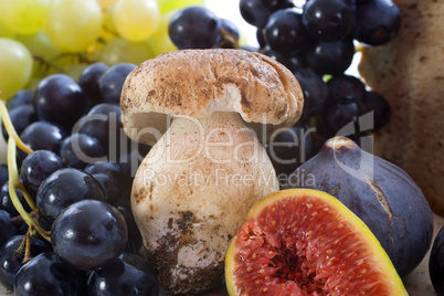 mushroom and fruits