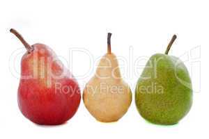 varieties of pears