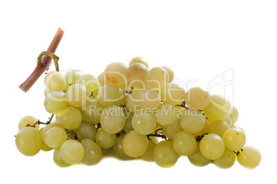 italia grapes