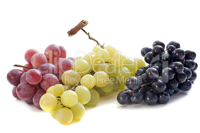 three varieties of grapes