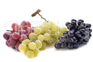 three varieties of grapes