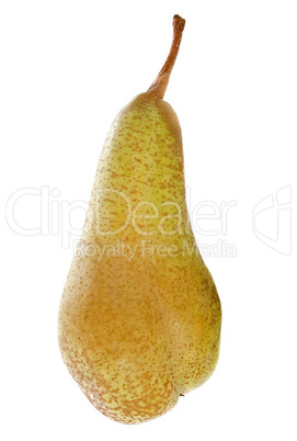 conference pear