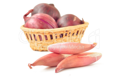 Shallot onions and red onions