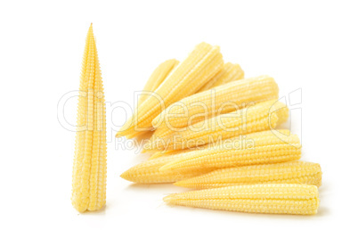 Baby corn on a white background