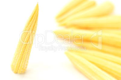 Baby corn on a white background