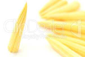 Baby corn on a white background