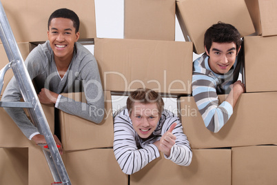 trio of male flatmates moving in