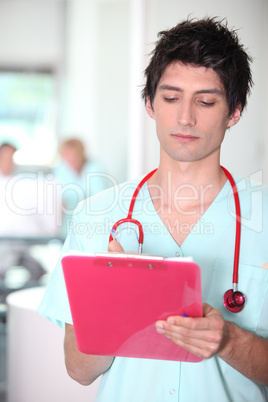Nurse checking notes