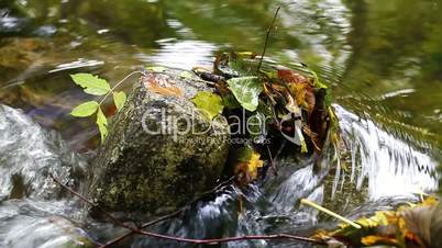 Herbstliche Blätter im Fluss - Stein