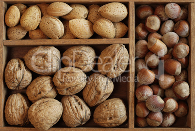 Nuts mix