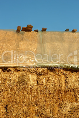Straw pile covered with plastic film