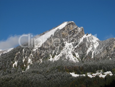 Mountain Peak And Forest