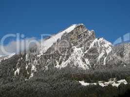 Mountain Peak And Forest