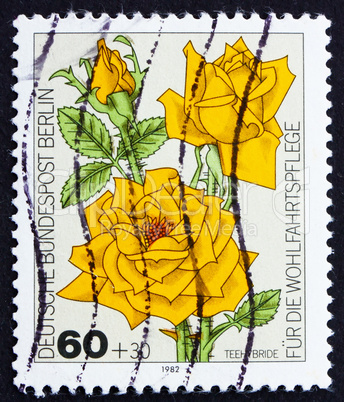 Postage stamp Germany 1982 Tea Rose Hybrid, flower