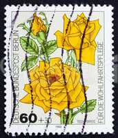 Postage stamp Germany 1982 Tea Rose Hybrid, flower