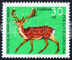 Postage stamp Germany 1966 Fallow Deer