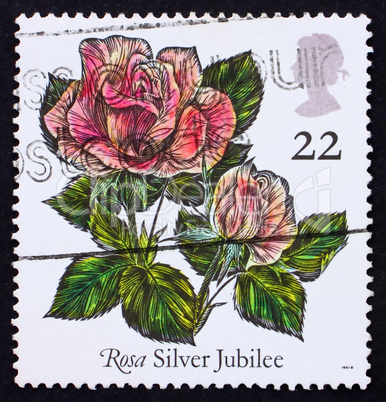 Postage stamp GB 1989 Rose Silver Jubilee