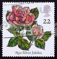 Postage stamp GB 1989 Rose Silver Jubilee