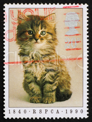 Postage stamp GB 1990 Prevention of Cruelty to Animals