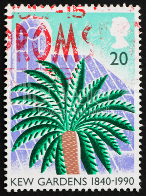 Postage stamp USA 1990 Cycad, Kew Gardens