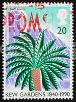 Postage stamp USA 1990 Cycad, Kew Gardens