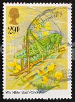 Postage stamp GB 1984 Wart-Biter Bush-Cricket