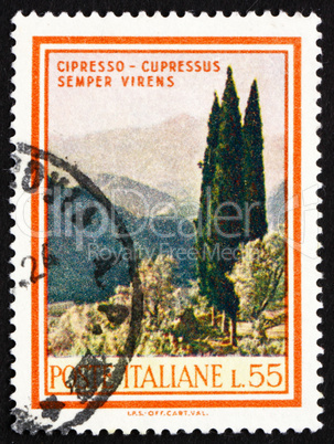 Postage stamp Italy 1966 Cypresses, Cupressus Sempervirens