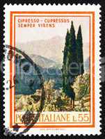 Postage stamp Italy 1966 Cypresses, Cupressus Sempervirens