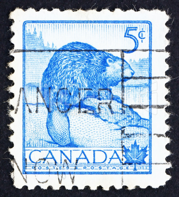 Postage stamp Canada 1954 Beaver, National Wildlife Week