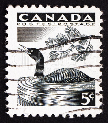 Postage stamp Canada 1957 Loon, Bird