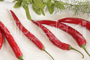 Red hot chilies