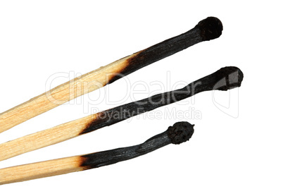 Match sticks (isolated)