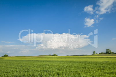 landscape with special cloud