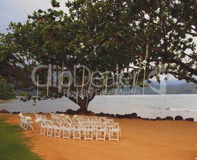 beach wedding