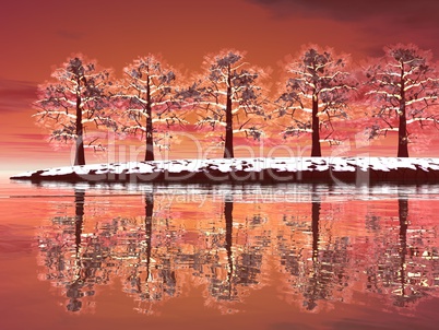 Winter trees by sunset