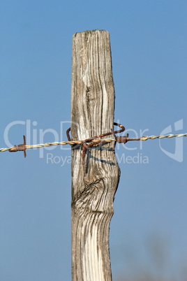Wire barbed fence