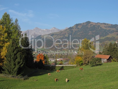 Autumn In The Bernese Oberland