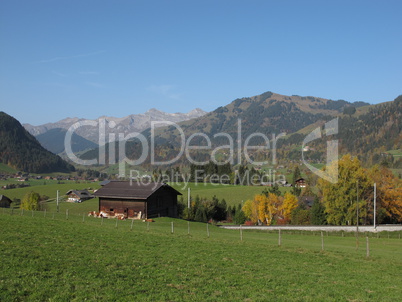Landscape Near Gstaad