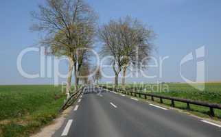 country road in Val d Oise