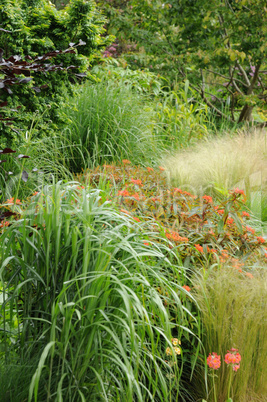 Brittany, le Jardin Lepage in Pleumeur Bodou