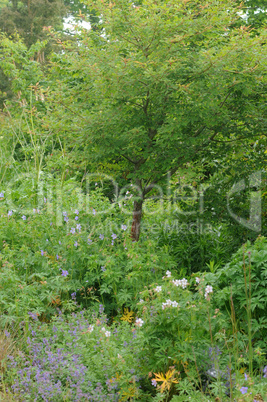 Brittany, le Jardin Lepage in Pleumeur Bodou