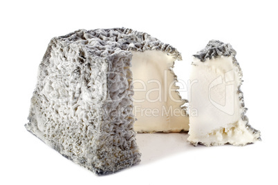 goat cheese Valencay