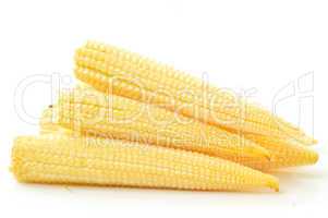 Baby corn on a white background