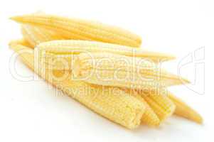 Baby corn on a white background