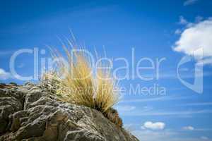 stone grass blue sky