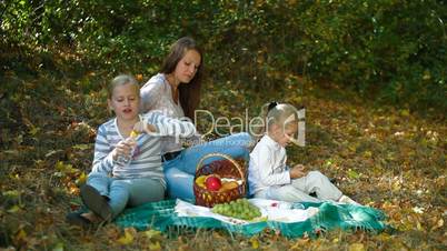 Family Having Picnic In The Park